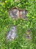 Photo of headstones/thumb_Angus McLennan d1870 hdstn Lovat Cemetery Bruce co ON